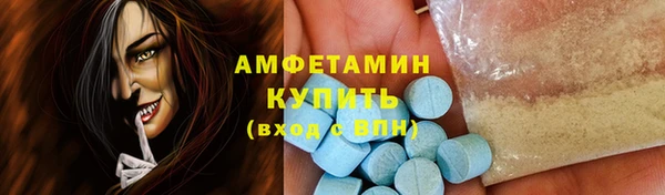 ECSTASY Алзамай