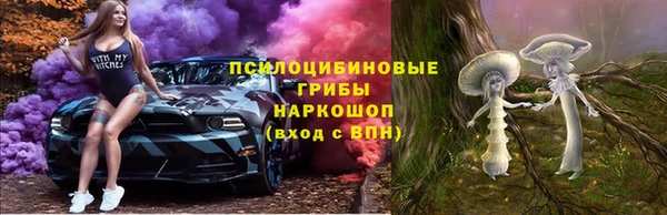 ECSTASY Алзамай