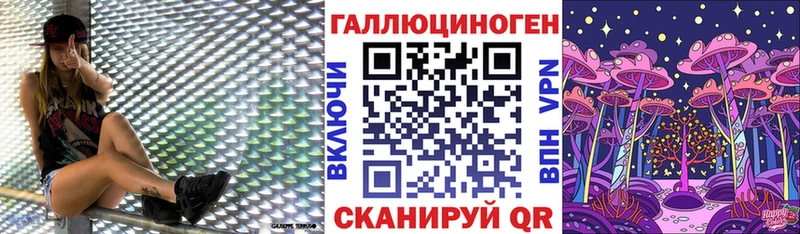 Псилоцибиновые грибы Cubensis  где купить   Шумиха 